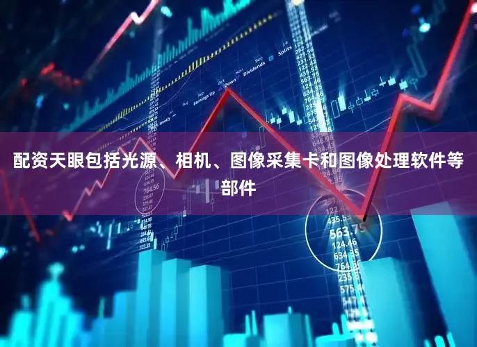 配资天眼包括光源、相机、图像采集卡和图像处理软件等部件
