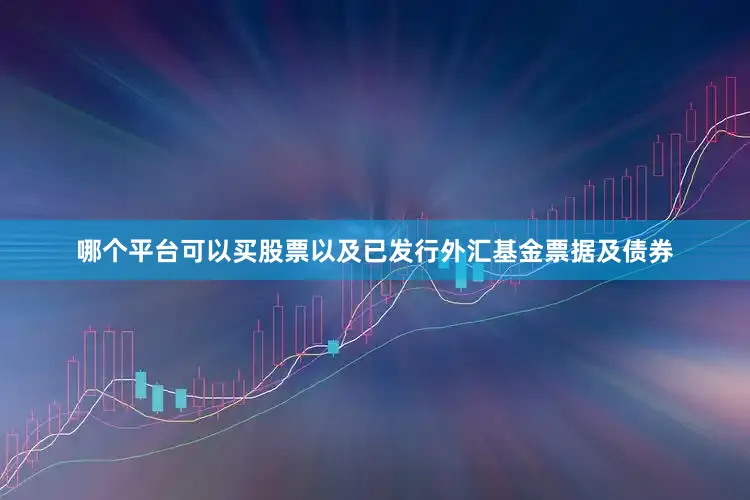 哪个平台可以买股票以及已发行外汇基金票据及债券