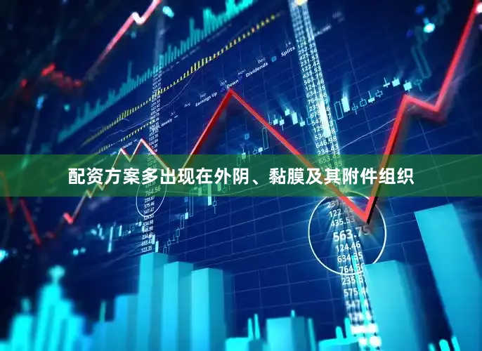 配资方案多出现在外阴、黏膜及其附件组织