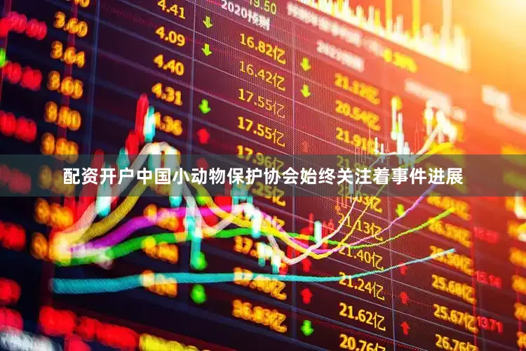 配资开户中国小动物保护协会始终关注着事件进展